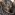 Member Avatar