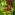Member Avatar