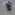 Member Avatar