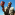 Member Avatar