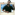 Member Avatar