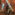 Member Avatar