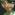 Member Avatar