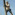 Member Avatar