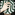 Member Avatar