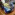 Member Avatar