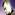 Member Avatar