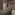 Member Avatar