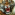 Member Avatar